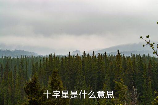 什么是地量十字星，請教一下選股公式前一日是放量中陽線或大陽線下一日是地量十字