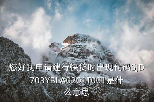 建行快貸是什么意思，您好我申請建行快貸時出現(xiàn)代碼SJD703YBLA0201T001是什么意思