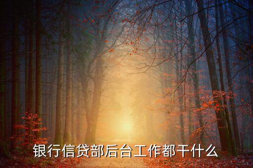銀行后臺(tái)是做什么的，銀行后臺(tái)是做什么的