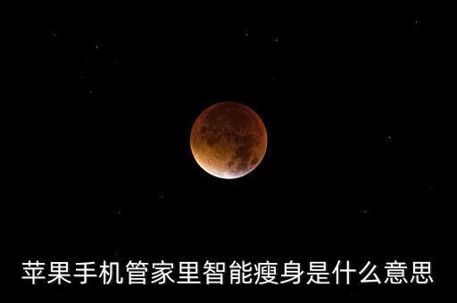 蘋果手機管家里智能瘦身是什么意思