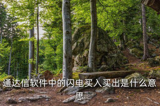 通達信軟件中的閃電買入買出是什么意思