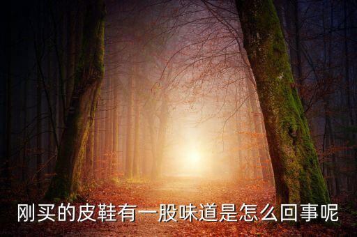 股市柚子什么含義，剛買的皮鞋有一股味道是怎么回事呢