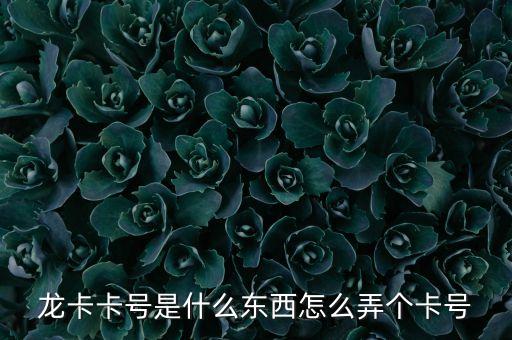 東航龍卡為什么是53開(kāi)頭，龍卡卡號(hào)是什么東西怎么弄個(gè)卡號(hào)