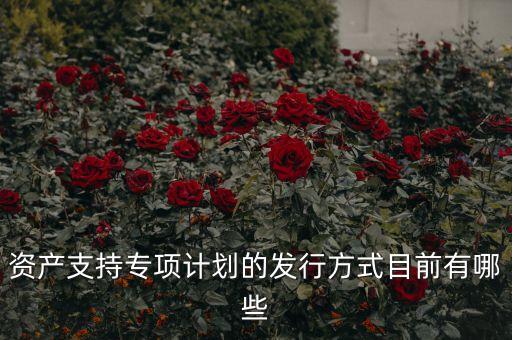 資產(chǎn)支持專(zhuān)項(xiàng)計(jì)劃的發(fā)行方式目前有哪些