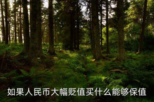 錢(qián)貶值買(mǎi)什么，人民幣貶值買(mǎi)什么好