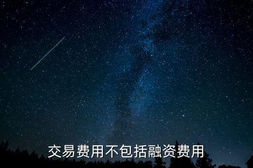交易費用不包括融資費用