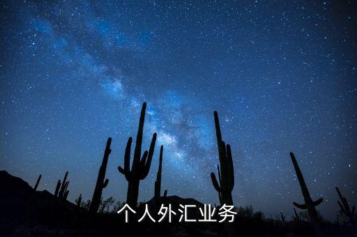 金融學(xué)考試什么是個人購匯業(yè)務(wù)，個人購匯代理業(yè)務(wù)的英文單詞是什么