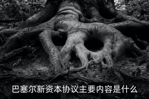 新資本協(xié)議是什么，新巴塞爾資本協(xié)議的介紹