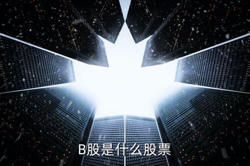 南江b股改成什么股，b 股什么股票