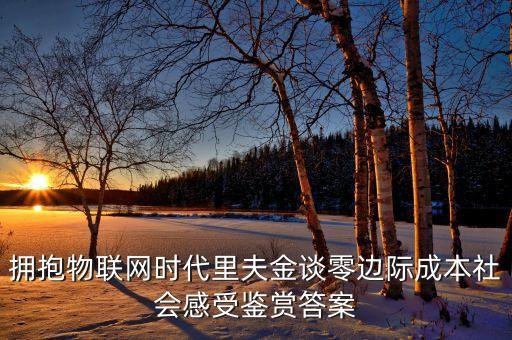 擁抱物聯(lián)網(wǎng)時代里夫金談零邊際成本社會感受鑒賞答案