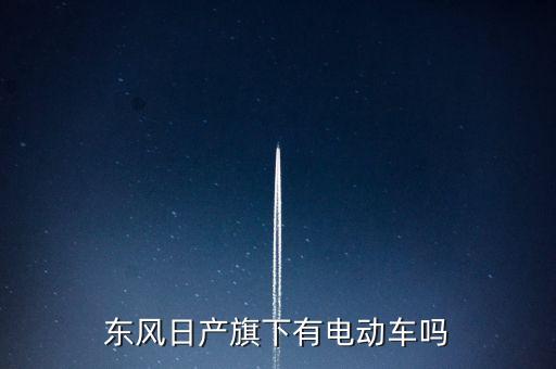 東風(fēng)日產(chǎn)旗下有電動(dòng)車(chē)嗎