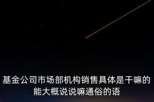 基金公司市場(chǎng)部機(jī)構(gòu)銷售具體是干嘛的能大概說說嘛通俗的語