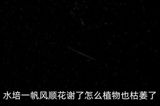為什么簧灘恢滯花順，汽車油門沉怎麼回事