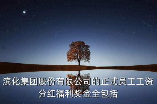 濱化集團股份有限公司的正式員工工資分紅福利獎金全包括