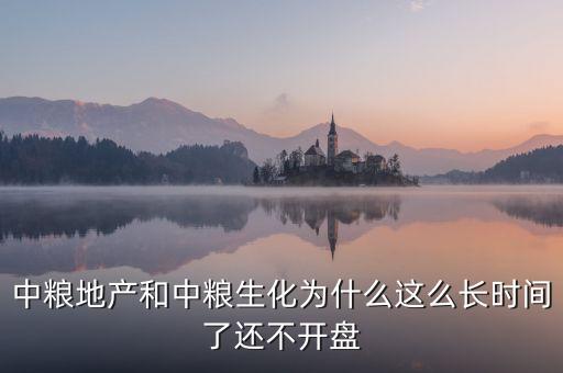 中糧地產(chǎn)和中糧生化為什么這么長時(shí)間了還不開盤
