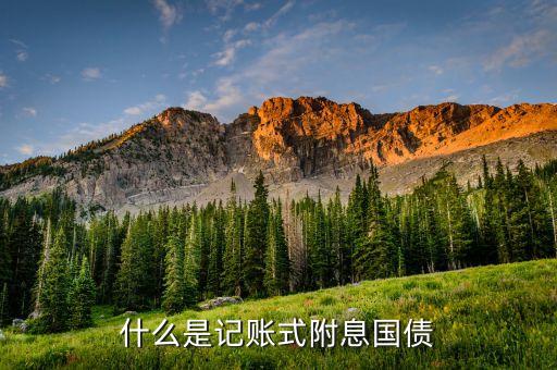 什么是記賬式附息國債的利息計(jì)算，記賬式附息國債
