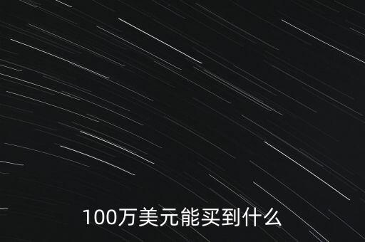 100萬美元能買到什么