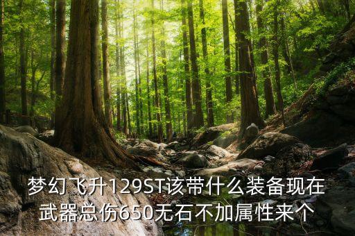 129st要什么裝備，夢(mèng)幻飛升129ST該帶什么裝備現(xiàn)在武器總傷650無(wú)石不加屬性來(lái)個(gè)