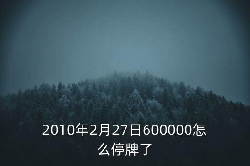 2010年2月27日600000怎么停牌了