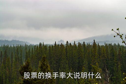 股票的換手率大說明什么