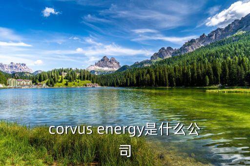 凱富能源是什么公司，corvus energy是什么公司