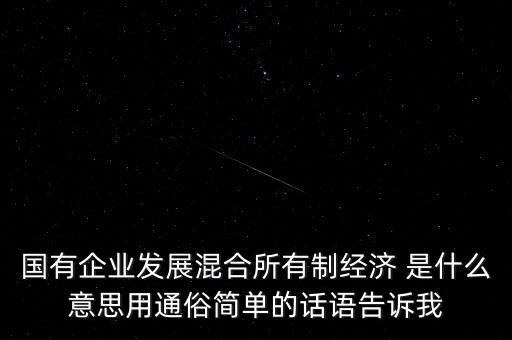 為什么要進(jìn)行混合所有制改革，國有企業(yè)發(fā)展混合所有制經(jīng)濟(jì) 是什么意思用通俗簡單的話語告訴我