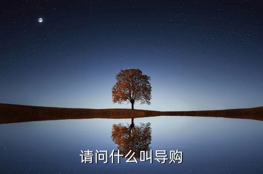 電商導(dǎo)購是什么，什么是導(dǎo)購