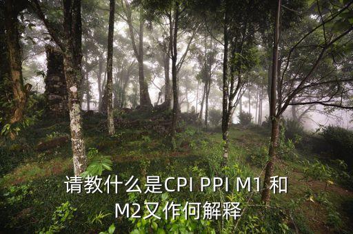 m2指數(shù)是什么，請教什么是CPI PPI M1 和 M2又作何解釋