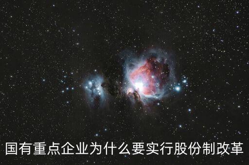 國有重點(diǎn)企業(yè)為什么要實(shí)行股份制改革