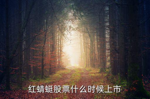 紅蜻蜓股票什么時候上市