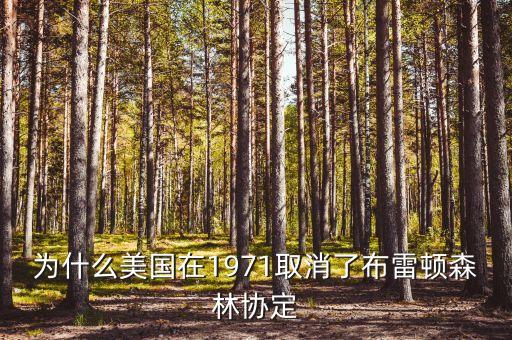 什么取代了布雷頓森林體系，布雷頓森林體系的產(chǎn)生說明了