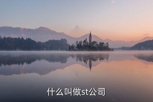 st華錦是什么公司，什么叫做st公司