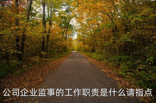 公司企業(yè)監(jiān)事的工作職責(zé)是什么請指點