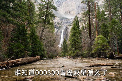 青島雙星什么時(shí)候復(fù)牌，000560各位大神知道啥時(shí)候復(fù)牌