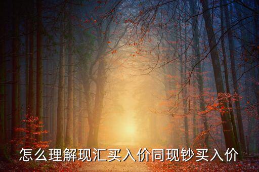 為什么現(xiàn)匯買入價比現(xiàn)鈔買入價高，為什么即期外匯牌價中現(xiàn)匯買入價和現(xiàn)鈔買入價不一樣為什么現(xiàn)匯