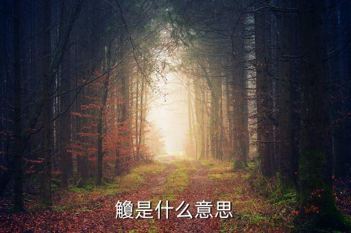 借給側(cè)是什么意思，更衣是什么意思