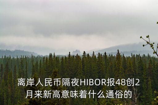 離岸人民幣隔夜HIBOR報(bào)48創(chuàng)2月來新高意味著什么通俗的