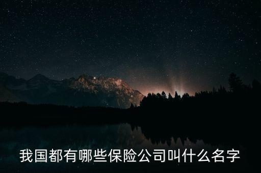 都有什么保險公司，國內(nèi)所有保險公司有哪些