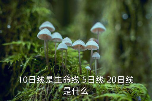 股票10日線是什么意思，十日線的定義是什么