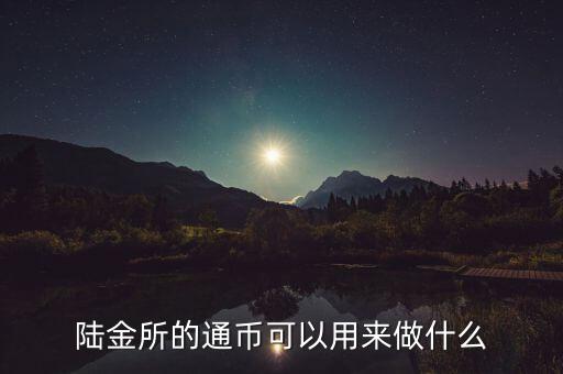 陸金所的通幣可以用來做什么