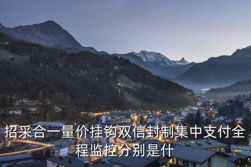 招采合一量價掛鉤雙信封制集中支付全程監(jiān)控分別是什