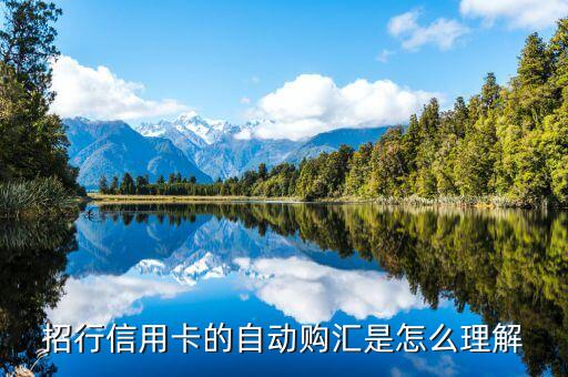 自動(dòng)購(gòu)匯轉(zhuǎn)出什么意思，什么是中國(guó)銀行信用卡的外幣自動(dòng)購(gòu)匯