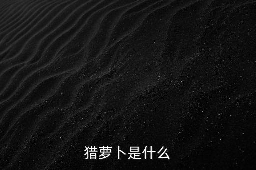 招聘行業(yè)的蘿卜是什么，聽說與獵蘿卜合作的大公司挺多的是真的嗎