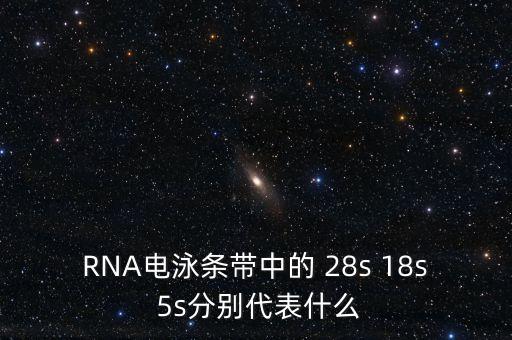 中能國(guó)研是什么，在HTML中content是什么意思