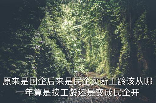 廣西貴糖什么時候變私企，廣西在什么時候開始變得落后起來的原因是