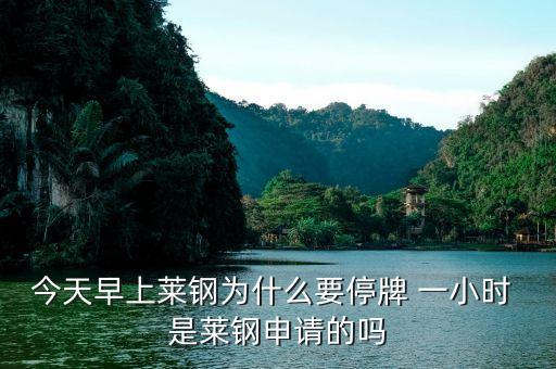 山東鋼鐵為什么停牌，濟南鋼鐵為什么停牌重組會成功嗎