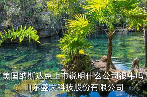 美國(guó)納斯達(dá)克上市說(shuō)明什么公司很牛嗎山東盛大科技股份有限公司
