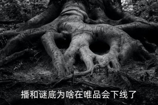 風(fēng)行電視為什么在唯品會下架，風(fēng)行網(wǎng)絡(luò)電視怎么了