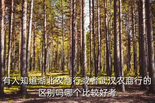 有人知道湖北農(nóng)商行或者武漢農(nóng)商行的區(qū)別嗎哪個比較好考