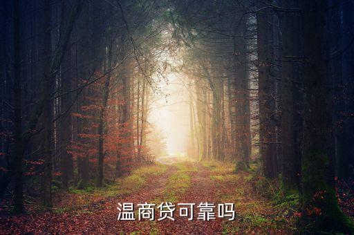 溫商貸是什么東西，溫商貸是真的嗎